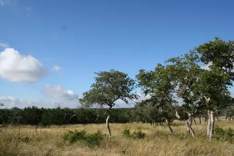 lot3 Oakwater Dr, Fredericksburg, TX 78624