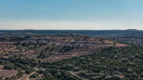 2530 County Road 408 S, Spicewood, TX 78669