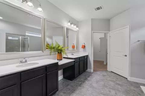 Bath - 511 Davis Mountain Cir, Georgetown, TX 78633 photo 1 of 4