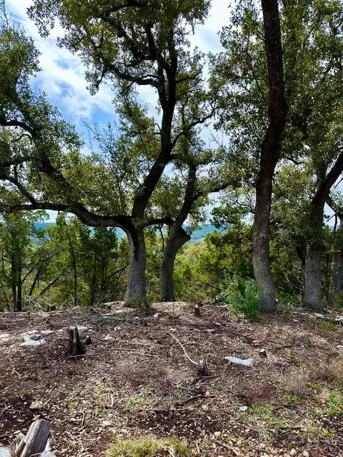 795 Cimarron, Spring Branch, TX 78070 photo 2