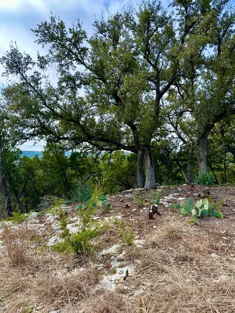 795 Cimarron, Spring Branch, TX 78070 photo 4