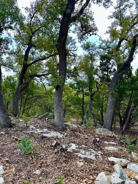 795 Cimarron, Spring Branch, TX 78070 photo 5