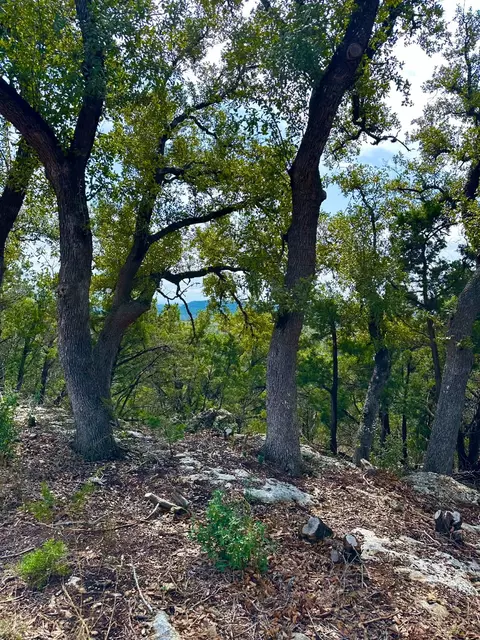 795 Cimarron, Spring Branch, TX 78070 photo 6