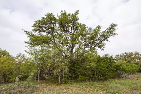 tbd Logans Way, Blanco, TX 78606 photo 8