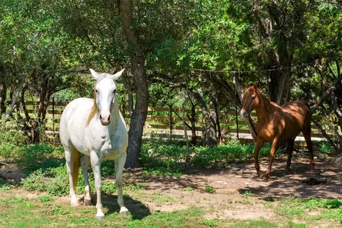Other - 23224 Nameless Rd, Leander, TX 78641 photo 1 of 3