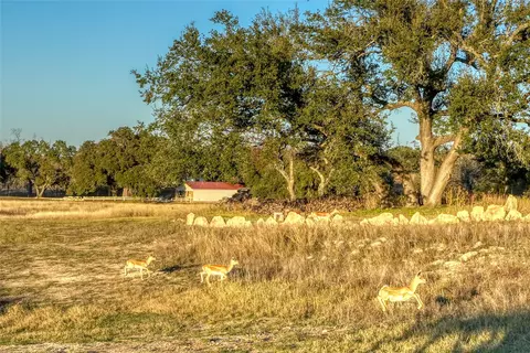136 137 Falling Oak Dr, Blanco, TX 78606 photo 16