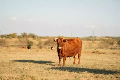 247 E Fm 581 Hwy, Lometa, TX 76853 photo 31