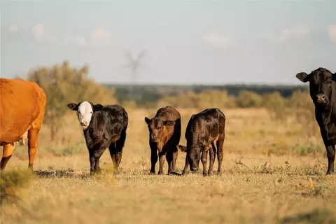 247 E Fm 581 Hwy, Lometa, TX 76853 photo 14