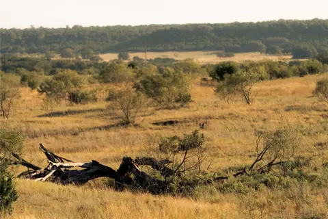 247 E Fm 581 Hwy, Lometa, TX 76853 photo 28