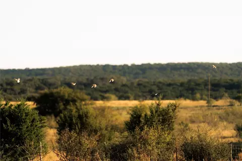 247 E Fm 581 Hwy, Lometa, TX 76853 photo 5
