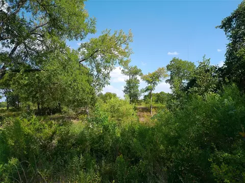 lot32 Serenity Dr, Bertram, TX 78605 photo 3