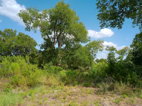 lot32 Serenity Dr, Bertram, TX 78605 photo 13
