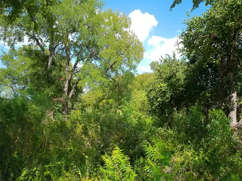 lot32 Serenity Dr, Bertram, TX 78605 photo 16