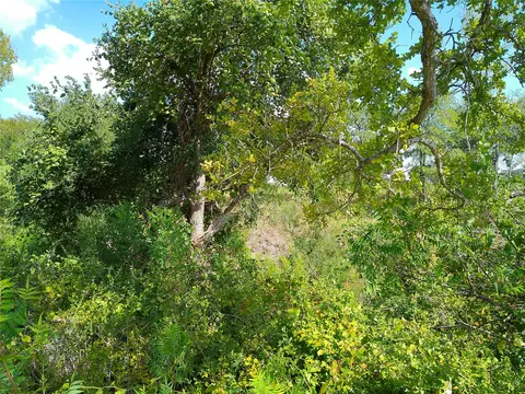 lot32 Serenity Dr, Bertram, TX 78605 photo 15