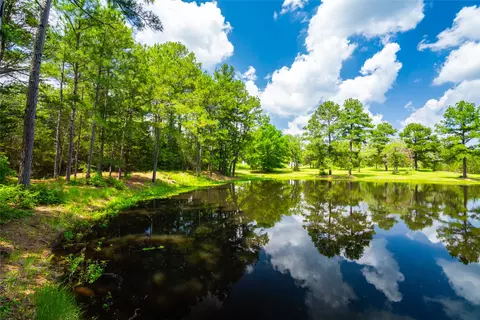 677 Old Antioch Rd, Smithville, TX 78957