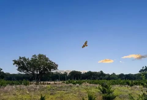 lot52 Clearwater Canyon Rd, Bandera, TX 78003