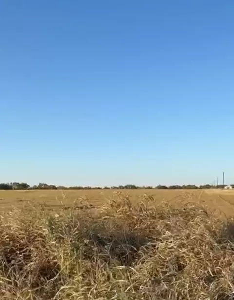 tbd County Road 133 Ctr #LOT 6, Burlington, TX 76519