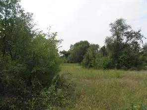 507 County Road 405 Rte, Buckholts, TX 76518 photo 6
