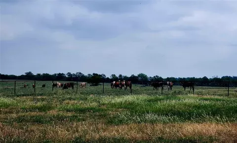 tbd County Road 446, Waelder, TX 78959
