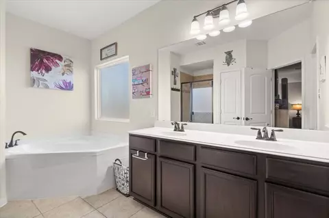 Bath - 1476 Treeta Trl, Kyle, TX 78640 photo 2 of 4