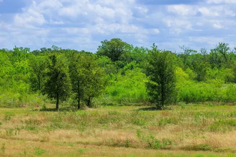 Other - 8804 Williamson Rd, Kyle, TX 78640 photo 10 of 13