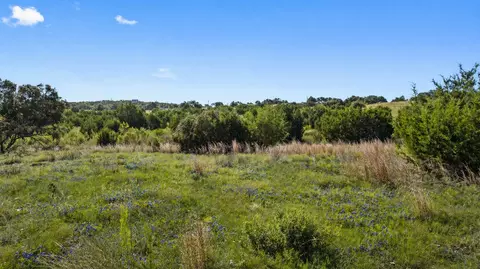 386 Appaloosa Run, Johnson City, TX 78663