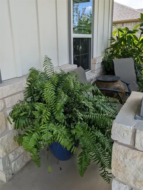 Exterior - 336 Kitty Hawk Rd, Georgetown, TX 78633 photo 3 of 6