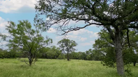 Private Road 1377, Lampasas, TX 76550 photo 5