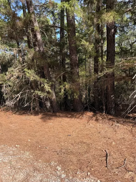 lot266 Wainee Dr, Bastrop, TX 78602