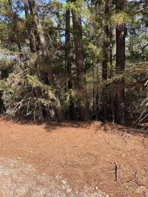 lot266 Wainee Dr, Bastrop, TX 78602