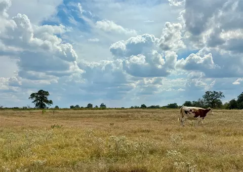 3 Big Sky Ranch Rd, Smithville, TX 78957