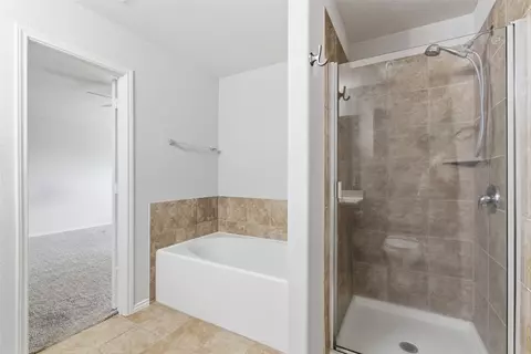 Bath - 18420 Cloudmore Ln, Elgin, TX 78621 photo 3 of 3