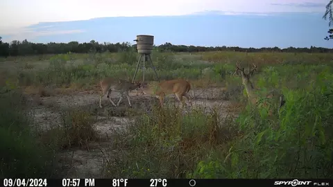 Other - Undisclosed, Elgin, TX 78653 photo 15 of 18