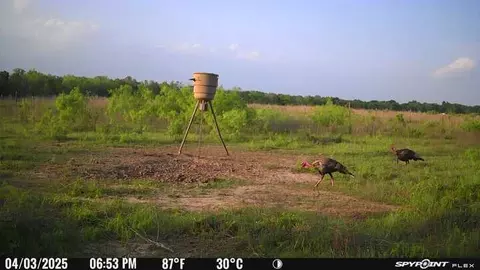 Other - Undisclosed, Elgin, TX 78653 photo 14 of 18