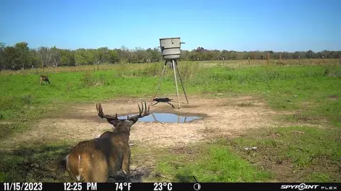 Other - Undisclosed, Elgin, TX 78653 photo 13 of 18