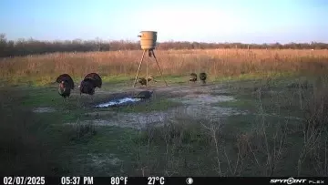 Other - Undisclosed, Elgin, TX 78653 photo 18 of 18
