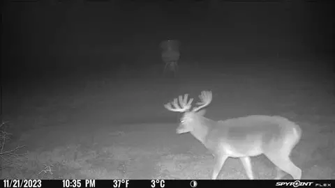 Other - Undisclosed, Elgin, TX 78653 photo 17 of 18