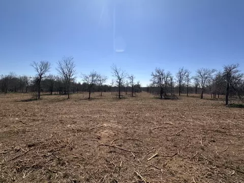 Other - Undisclosed, Elgin, TX 78653 photo 12 of 18