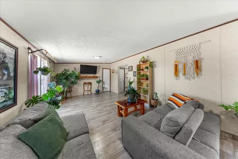 Living - 1307 Graef Rd #B, Kyle, TX 78640 photo 2 of 3
