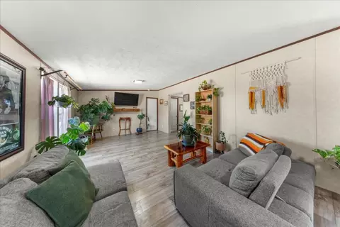 Living - 1307 Graef Rd #B, Kyle, TX 78640 photo 2 of 2