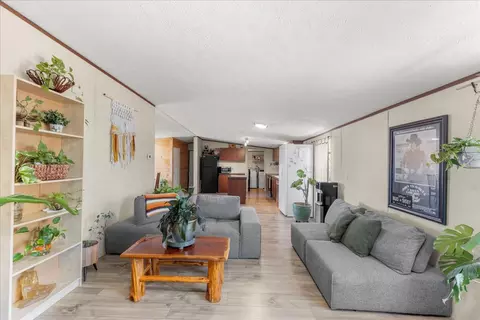 Living - 1307 Graef Rd #B, Kyle, TX 78640 photo 3 of 3