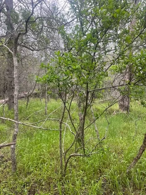 lot628 Hilea Ct, Bastrop, TX 78602