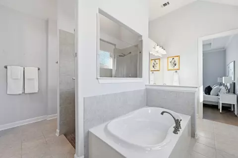 Bath - 176 Wild Pecan Loop, Buda, TX 78610 photo 1 of 3