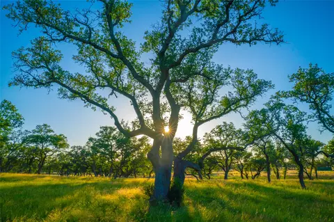 0 Bountiful Oaks Rnch, Johnson City, TX 78636