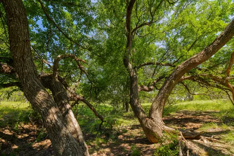 tbd Twin Draw County Road 180 Rd, Purmela, TX 76566