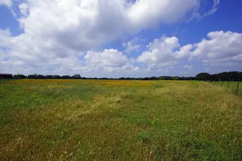 350 Apache Springs Rd, Briggs, TX 78608 photo 10