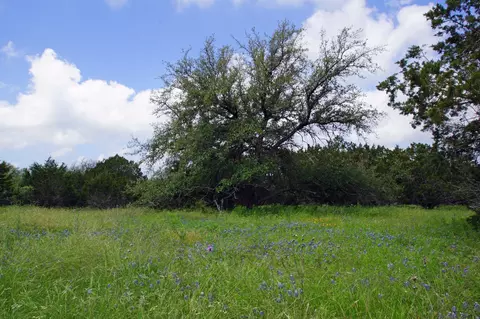350 Apache Springs Rd, Briggs, TX 78608 photo 4