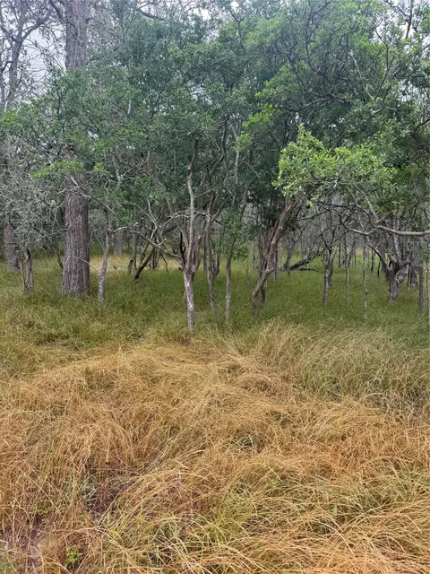 109 Hauula Ct, Bastrop, TX 78602