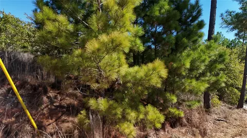 tbd Aloha Ln, Bastrop, TX 78602 photo 20