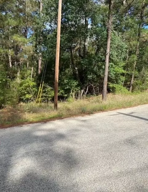 lot93 Papawai Dr, Bastrop, TX 78602